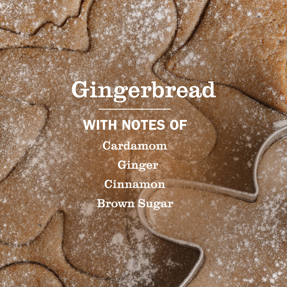 Gingerbread Dish Soap - Image 4